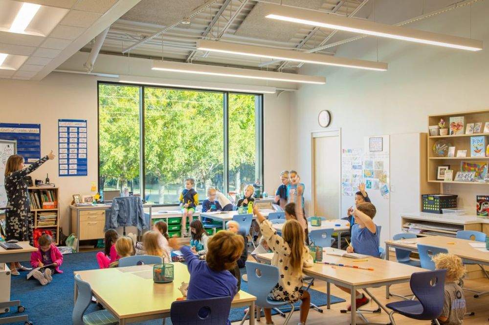 251022 Little 015 1100 X 733